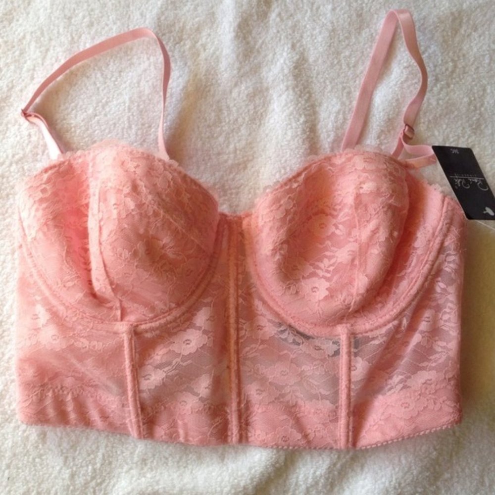 NWT Pink lace corset